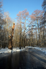 jungfernheide