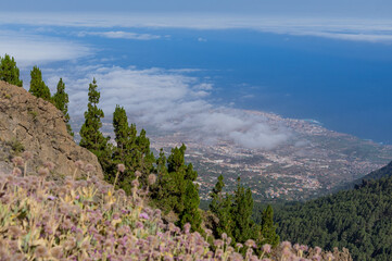 Fototapeta na wymiar Paisajes de La Palma, islas canarias