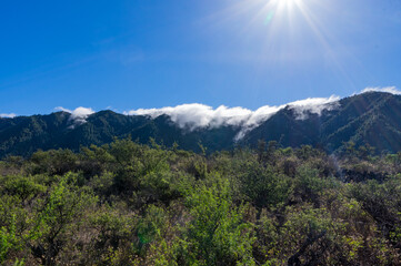 Paisajes de la isla de la Palma, Canarias. España.