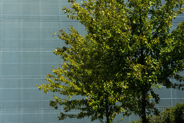 urban design, green and steel, modern new cityscape living in harmony 