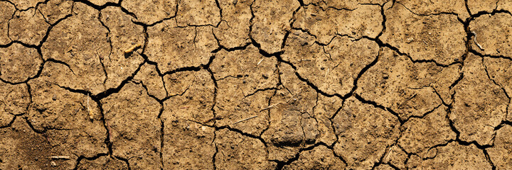 Texture of cracked dried soil. Dry ground with cracks. Brown rough surface of the soil during...