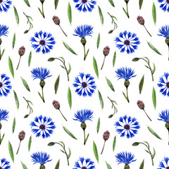 Watercolor seamless pattern with twigs, leaves, buds and flowers of the cornflower plant
