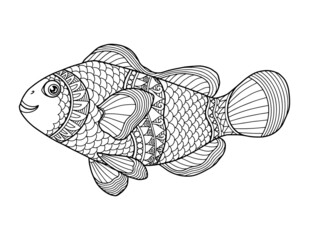 Clown fish coloring page design clear background, mandalas design, and print design