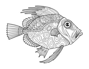fish coloring page design clear background, mandalas design, and print design