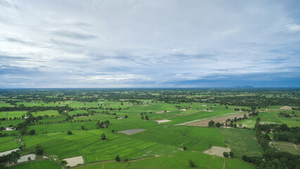 Fototapeta na wymiar Rice field with sky top view from drone, Thailand