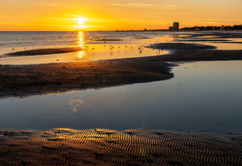 Ripples in the sand exposed by low tide while seagull and other birds forage for food in the...