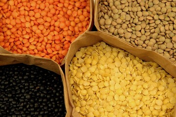 Lentils different colors, colorfull lentils, red, green, yellow, black lentil on paper bags, legumes