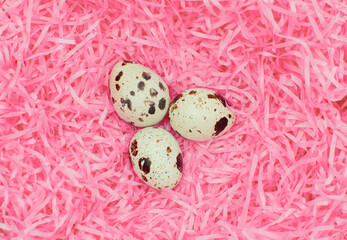 eggs in a pink nest