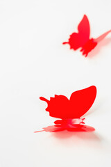 red butterflies on a white background