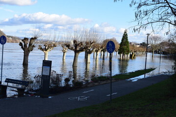 Rheinhochwasser 2021, Andernach