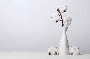 Branch of fluffy cotton flowers in white vase on light wooden surface against grey background. Interior floral composition.