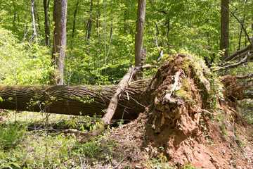 Watchung Reservation New Jersey