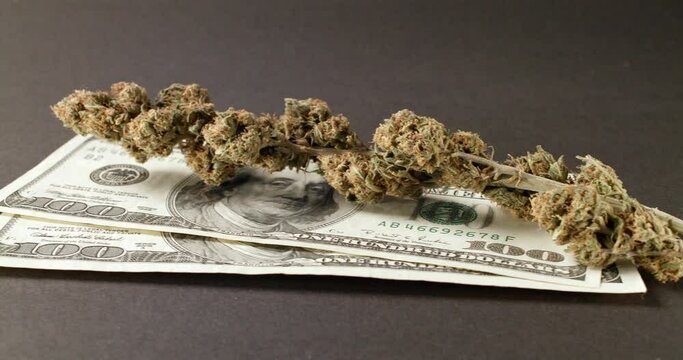 Weed Buds on top of Dollar Bills. Drugs on 100 Dollar Banknotes, purchasing Illegals substances