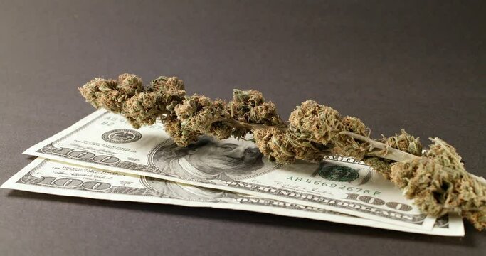 Weed Buds on top of Dollar Bills. Drugs on 100 Dollar Banknotes, purchasing Illegals substances