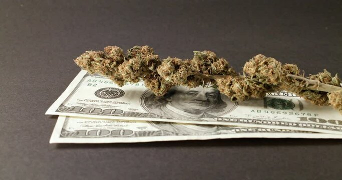 Dollar Banknotes with Weed. Cannabis on top of Cash Money. Purchase Legal and Illegal Drugs
