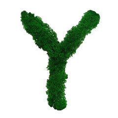Letter Y of the English alphabet made from green stabilized moss, isolated on white background