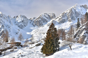 Excursion to the Valle d'Otro, above Alagna Valsesia, among the landscapes and the ancient Walser huts.