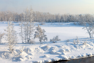 Покрытые морозным инеем деревья на берегу незамерзающего Енисея