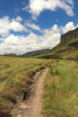 Landscape located in Chapada Diamantina, Bahia. Path to Morr&atilde;o and &Aacute;guas Claras Waterfall.