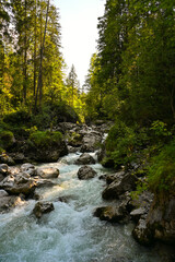 A mountain river surrounded by green forest during summer.