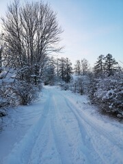 Fototapeta premium Rural landscape in winter in Russia frosty day