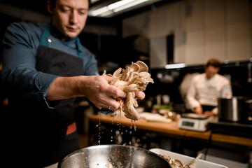 male chef holds oyster mushrooms over bowl on kitchen