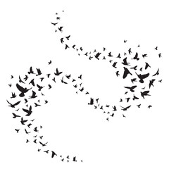 Flying birds silhouette illustration. Vector background