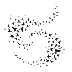 Flying birds silhouette illustration. Vector background