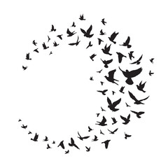 Flying birds silhouette illustration. Vector background