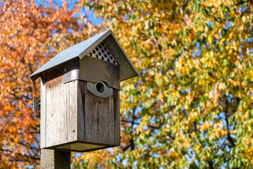 Wooden birdhouse on pole in fall in front of colorful autumn trees