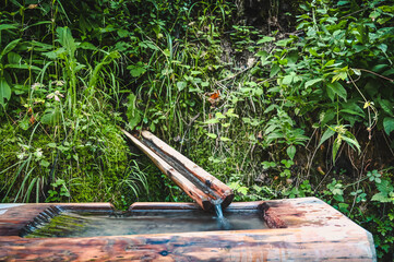 Water from a natural spring runs down a wooden channel into a trough.