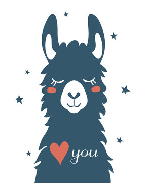 Llama Alpaca, Valentine's Day card stock illustration. East Asia, USA, Abstract, Albino, Animal