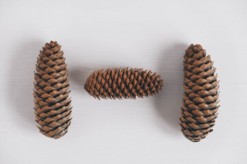 Three pine cones on a white background. Top view. Copy, empty space for text