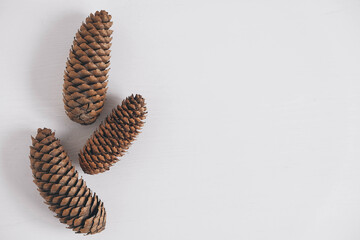 Fototapeta premium Three pine cones on a white background. Top view. Copy, empty space for text