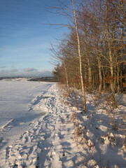 Winterlandschaft in der Eifel