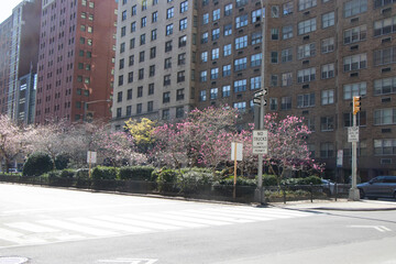 New York City Empty during Summer