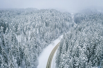 Mesmerizing aerial view of a beautiful road surrounded by snow-covered fir trees, snow storm