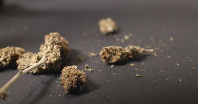 Cannabis weed Buds falling on black background. Marijuana Flower dropping. 4K
