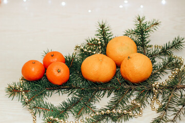 Fototapeta na wymiar Clementines and tangerines on a spruce branch on a christmas background.