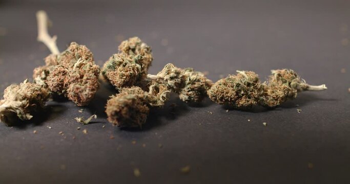Cannabis Buds, Panning motion. Medicinal Marijuana on dark Background. Medicine and Drugs. Herbs 4K
