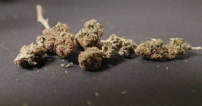 Focus pulling on Cannabis Buds on Black background. Medical Marijuana closeup