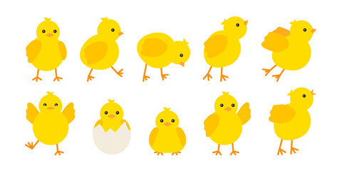 Cute baby chickens set in different poses for easter design. Little yellow cartoon chicks. Vector illustration isolated on white background