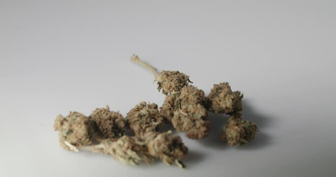 Weed Buds on White background Isolated. Hemp Flower in Blossom and dry.
