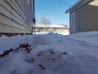 Fresh snow, alley, winter storm, cold, house, landscape, Midwest, tree, nature, white, frozen, ice, forest, rural