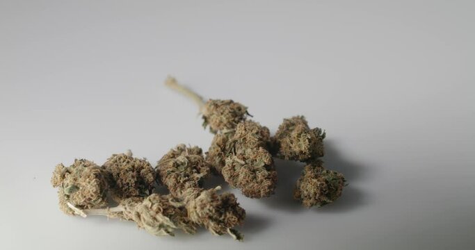 Weed Buds on White Background. Organic Cannabis Medicine. Natural Drugs, with CBD and THC