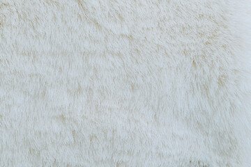Gros plan sur de la fourrure blanche - Arrière plan texture laineuse douce