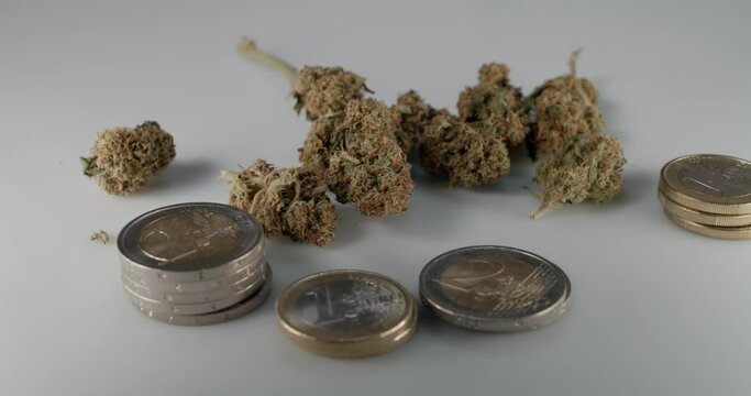 Weed Buds on Euro Coins. Cannabis Flower on top of Euro. Purchasing Drugs and Medicine