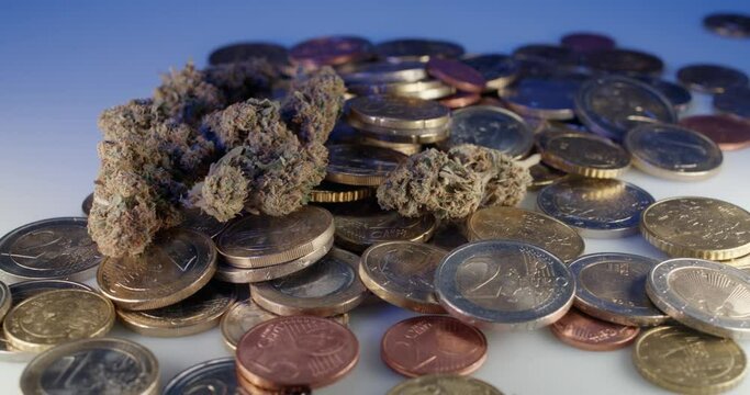 Weed Buds on Euro Coins. Cannabis Flower on top of Euro. Purchasing Drugs and Medicine