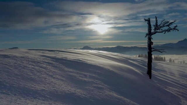Frostige Landschaft