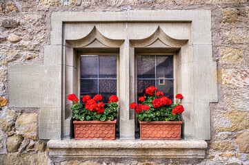 Fototapeta na wymiar Old window in a medieval house wall with red geranium on the windowsill